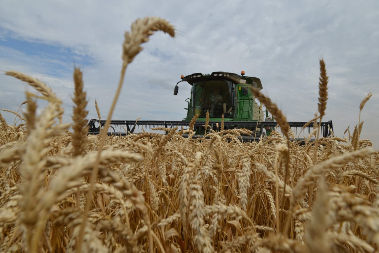 Wheat futures mark highest finish since July