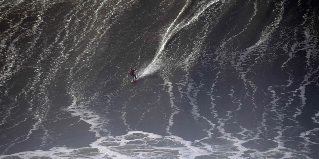 These money and investing tips can help you surf the bear market’s killer waves