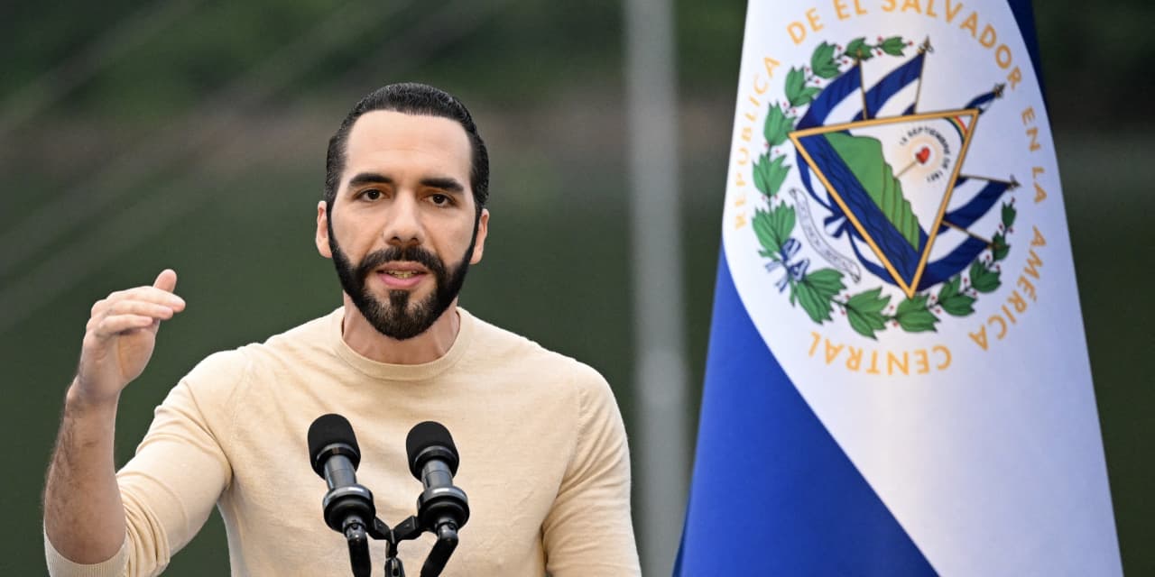 Bitcoin rally: El Salvador president has 'no intention of selling' crypto -  MarketWatch