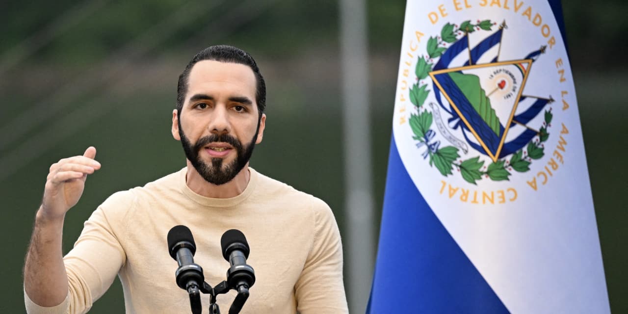 El Salvador's president has 'no intention of selling' the country's bitcoin, despite rally - Vimarsana News