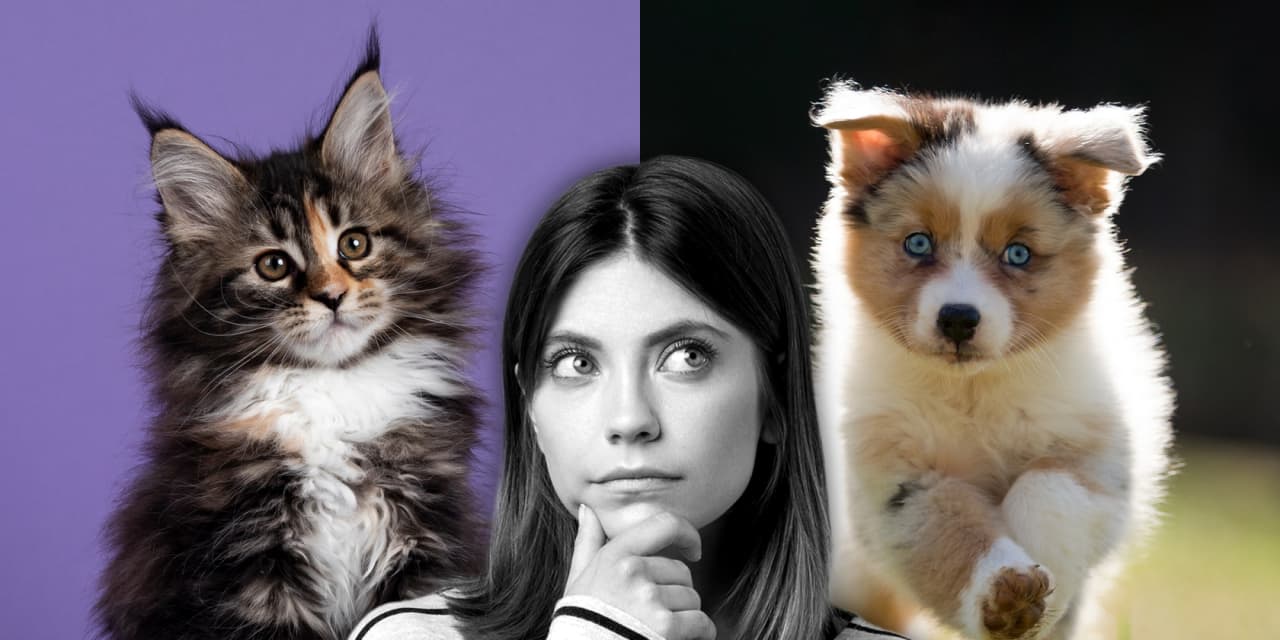 #Financial Face-Off: It’s National Pet Day. Which pet makes better financial sense, a cat or a dog?