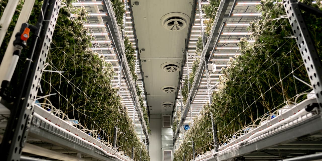 #Cannabis Watch: Urban-gro eyes 80% revenue growth as indoor farm specialist