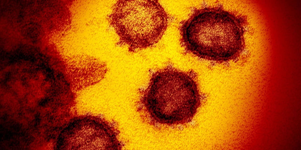 #Coronavirus Update: CDC study highlights speed with which omicron variant infected Americans, and WHO warns testing is still crucial
