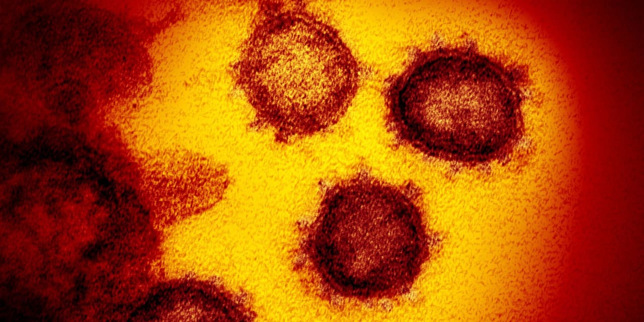 #Coronavirus Update: CDC study highlights speed with which omicron variant infected Americans, and WHO warns testing is still crucial