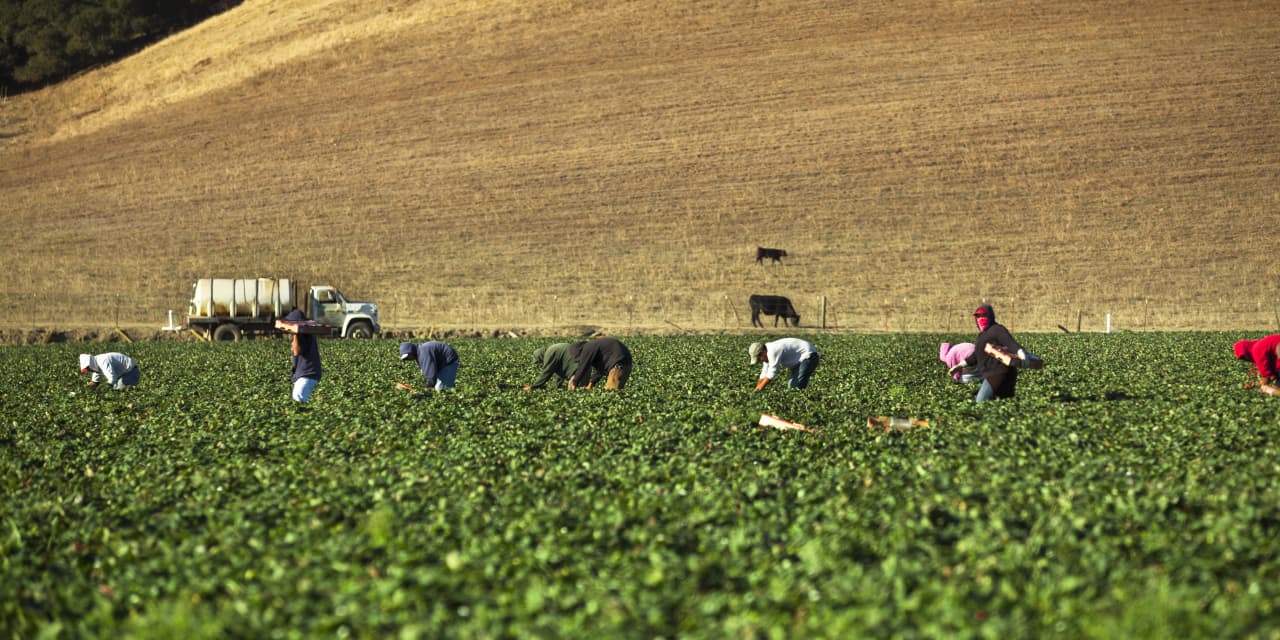 Los trabajadores estadounidenses siguen muriendo por lesiones en el trabajo: estos son los afectados