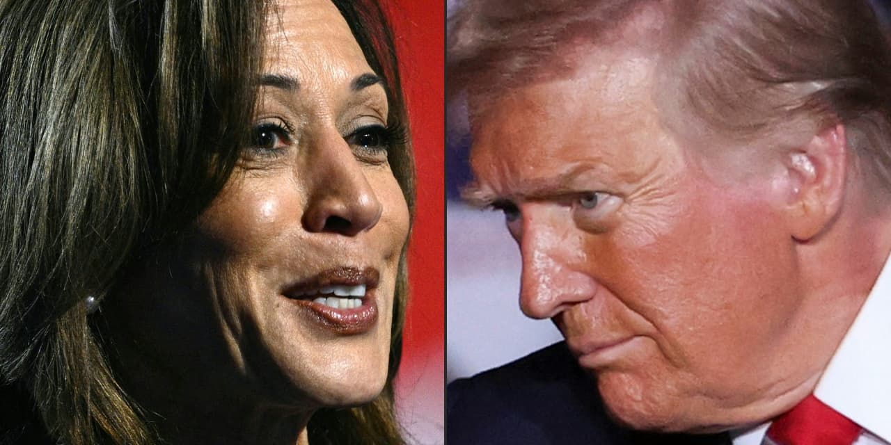 Election Day 2024: Trump and Harris face off in historic presidential race with inflation, stocks and the economy taking center stage