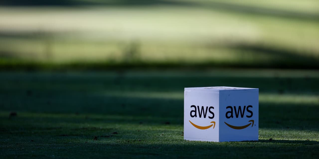 Amazon’s stock is primed for a 40% rally, according to this bull who has named it his top pick - MarketWatch