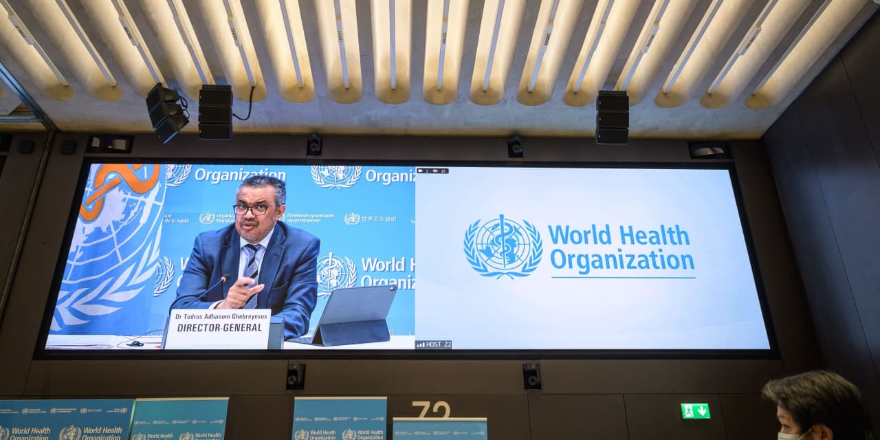 WHO head censored in China after criticizing zero-COVID policy, and U.S. cases are now up 52% from two weeks ago – MarketWatch