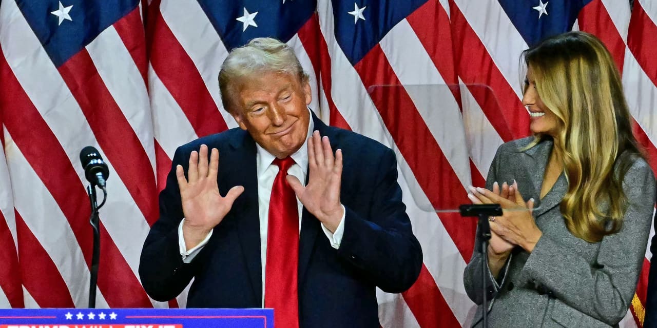 These stocks could benefit from Trump’s election victory, B. Riley says ...