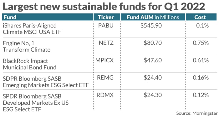 'Climate' is the new buzzword in a crop of new ESG funds that were just launched