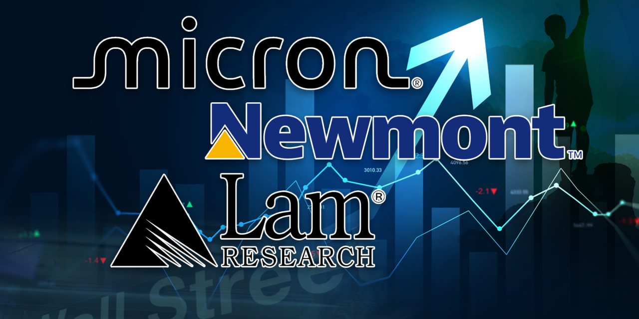 20 stocks of companies showing excellent earnings-season trends even as the economy cools