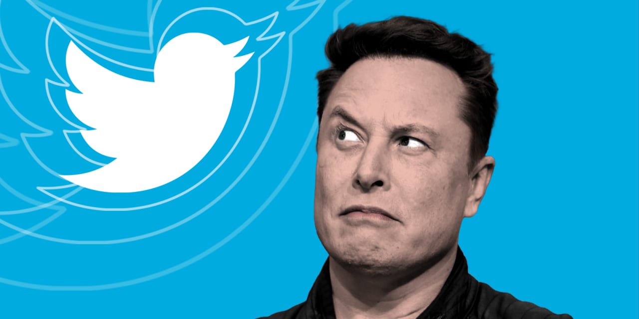 Elon Musk quiere impulsar su compra en Twitter.  Así reaccionaron algunos usuarios de Twitter.