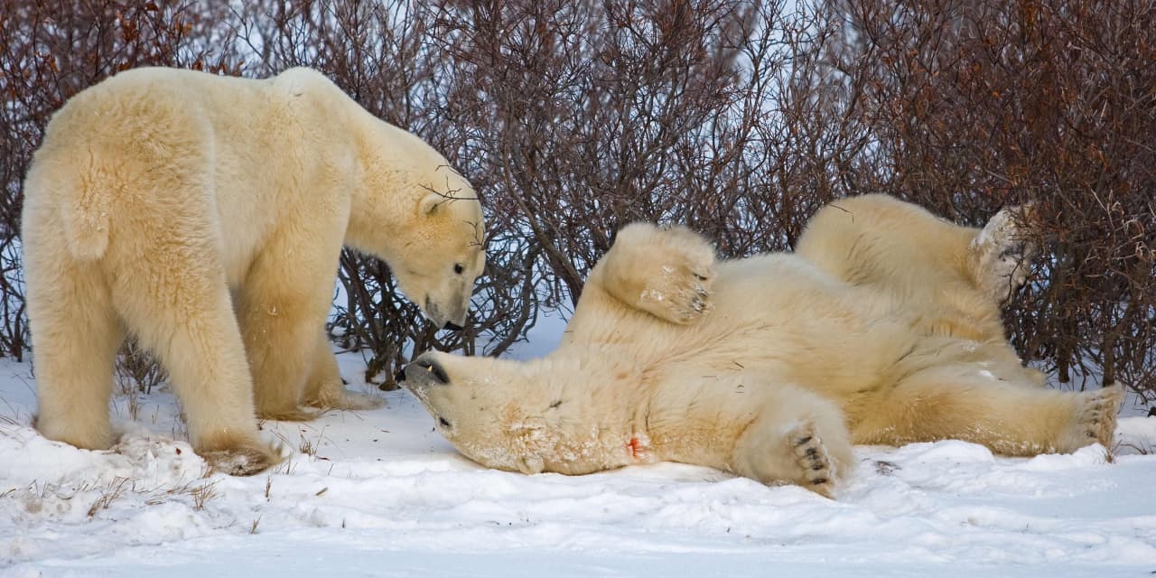 #Market Snapshot: ‘Nowhere to hide?’ How stagflation fears put stocks on verge of a bear market