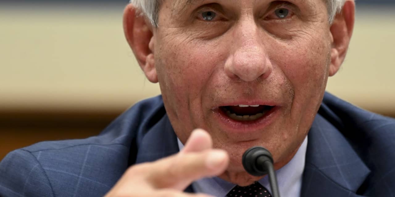 Key Words: Fauci says no to working under Trump again if he is re-elected in 2024