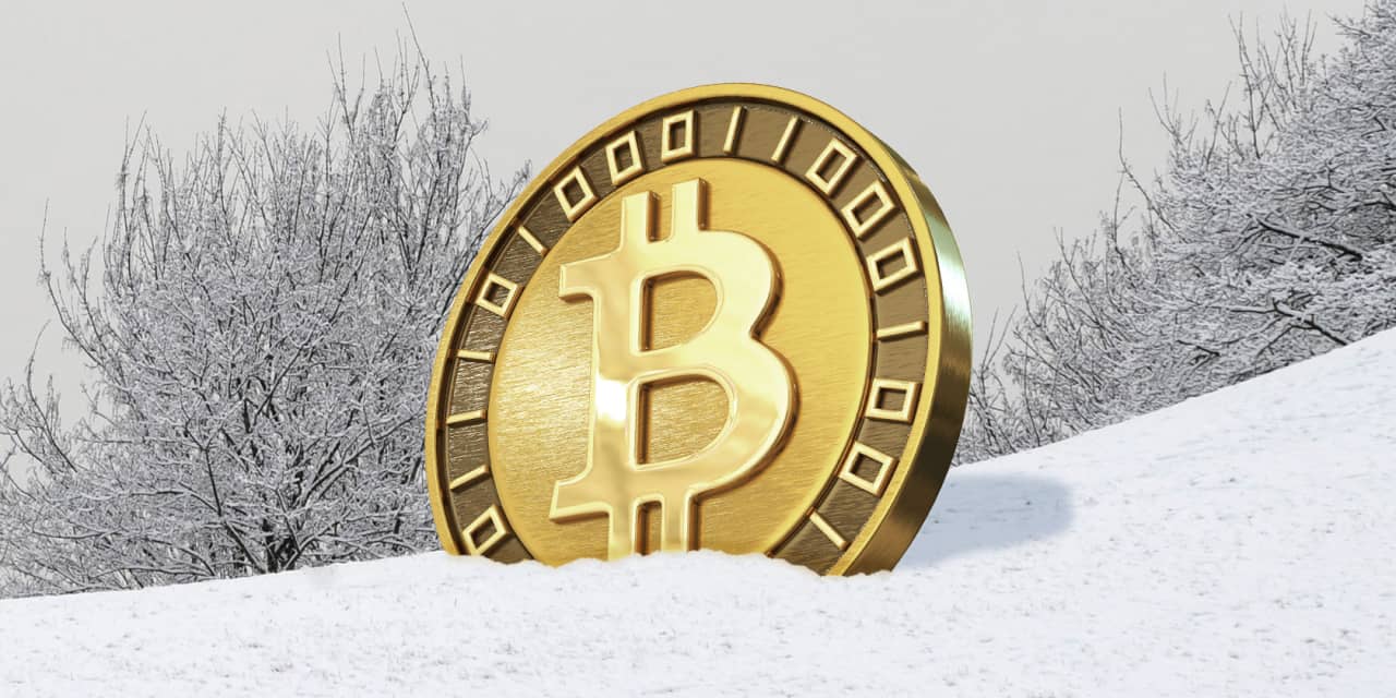 This eclipse-like event is why bitcoin could reach $100,000 by next year,  says forecaster who has made prescient calls - MarketWatch