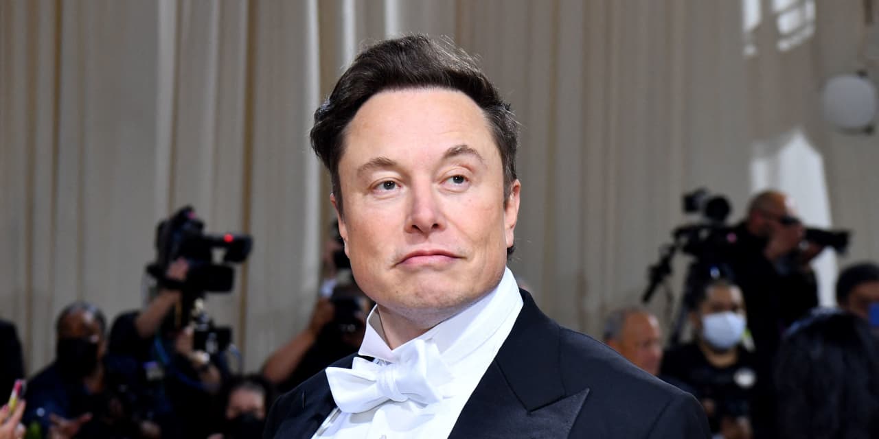 Twitter shareholders sue Elon Musk, accusing him of manipulating stock