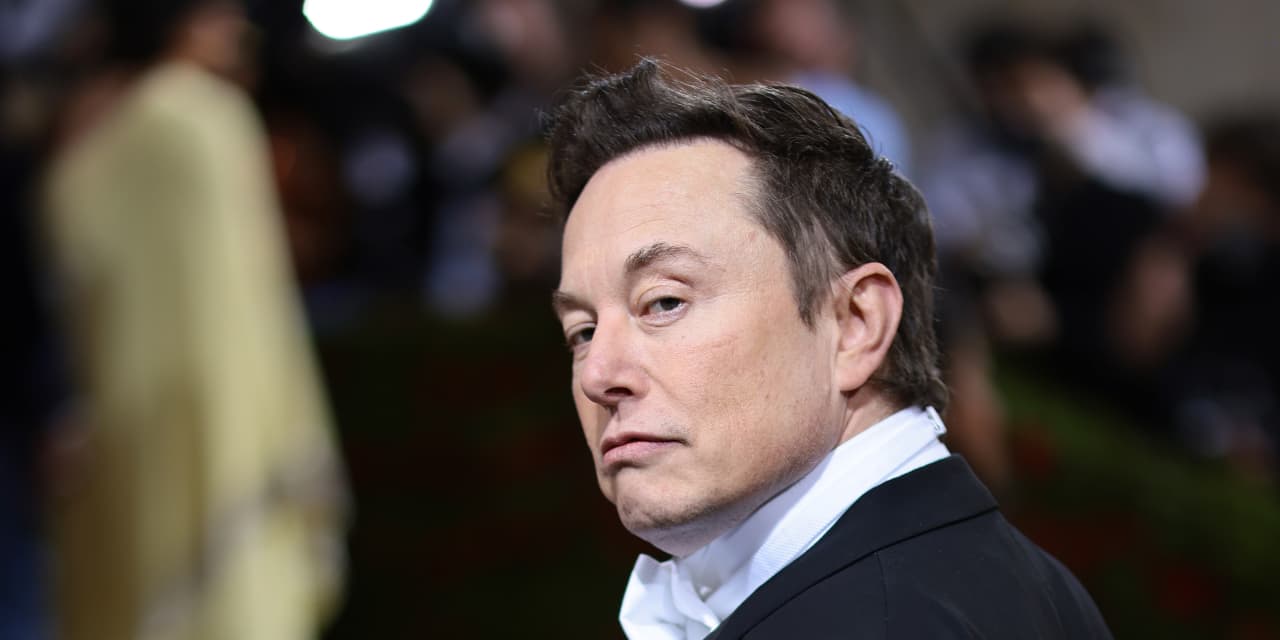 Elon Musk’s wealth sees record twoday swell as Tesla’s stock surges