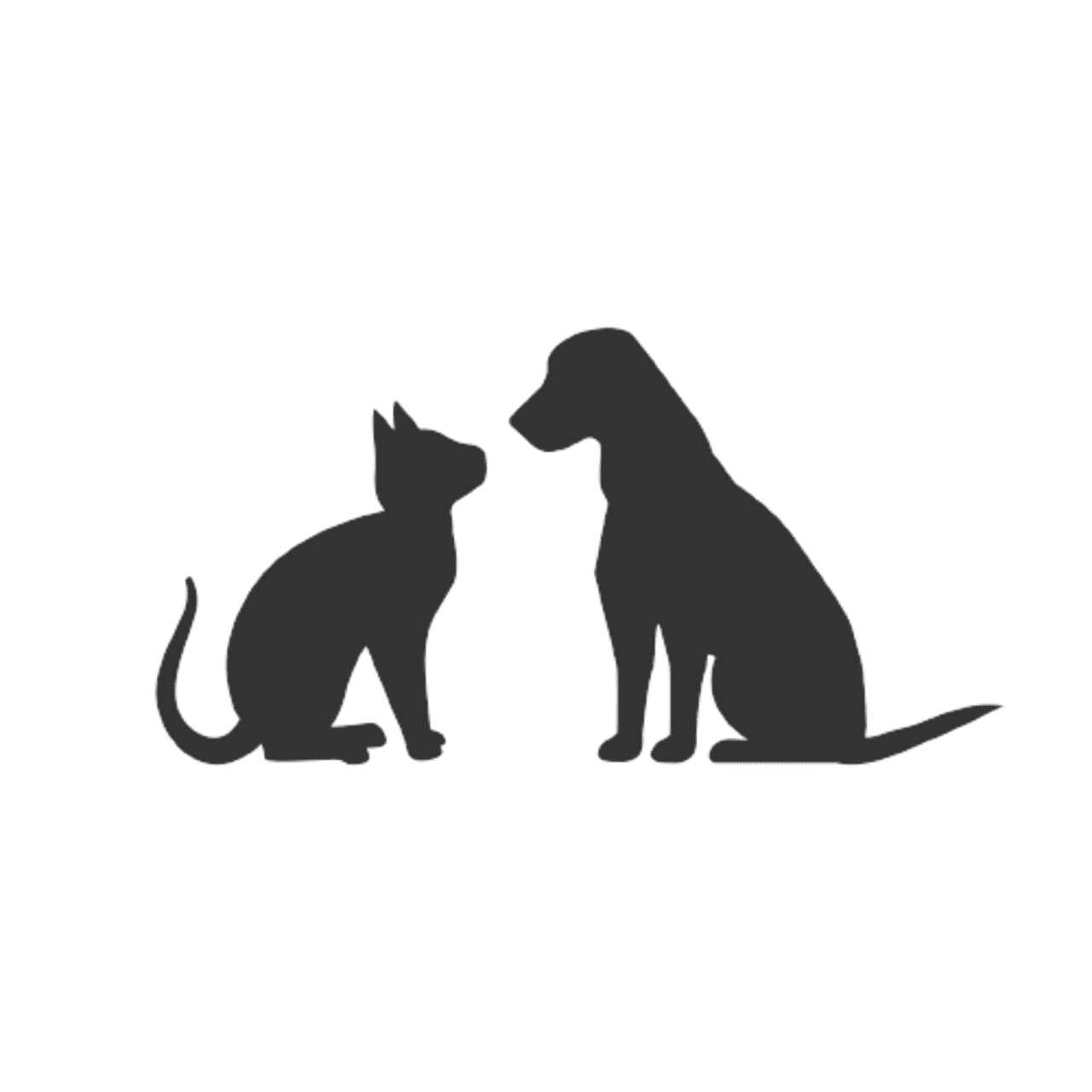 Why Are Dogs More Expensive Than Cats