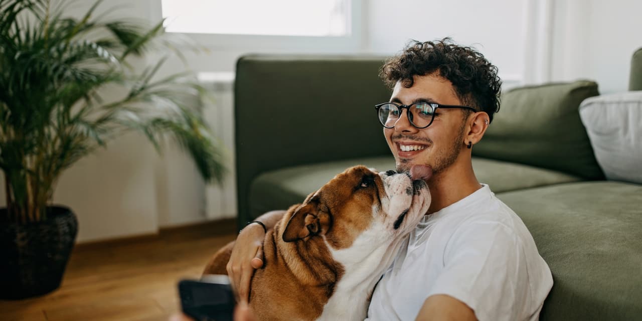 ‘I know end-of-life stuff can be expensive:’ How much money should I expect to spend on care for my senior bulldog?