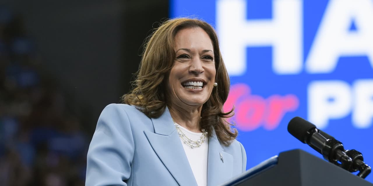 UAW endorses Kamala Harris, giving her blue-collar firepower in industrial states