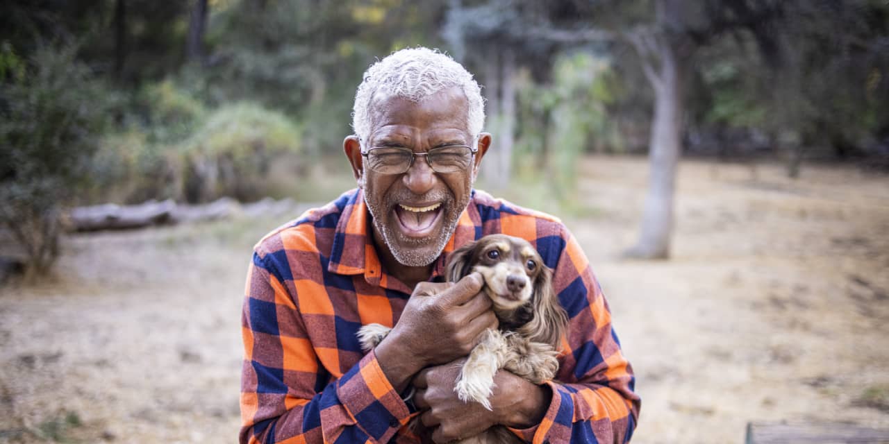 Your pet may be saving you from dementia - Vimarsana News