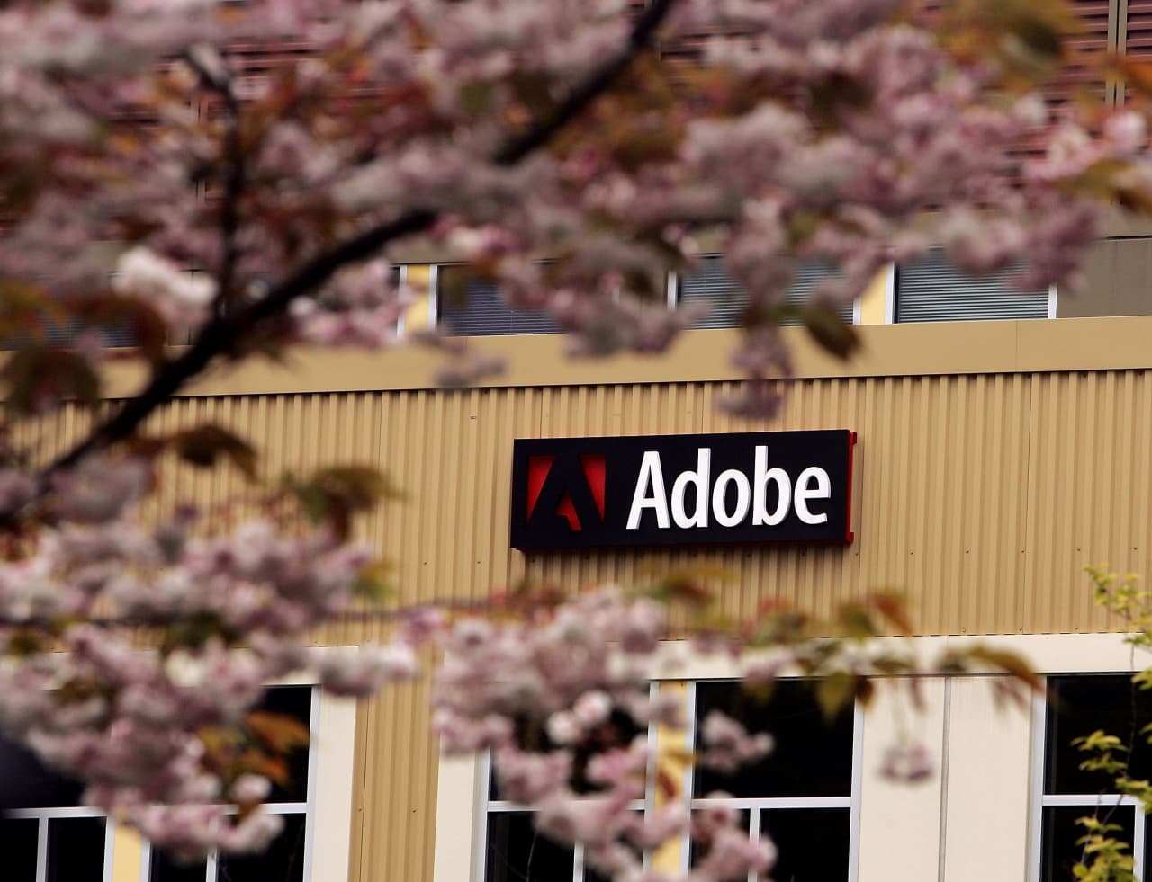 Adobe’s stock gets a downgrade as its AI narrative is nuanced