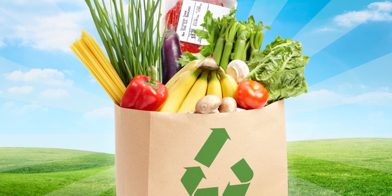 #The Upcycler: How to save up to 50% on your grocery bill and reduce food waste