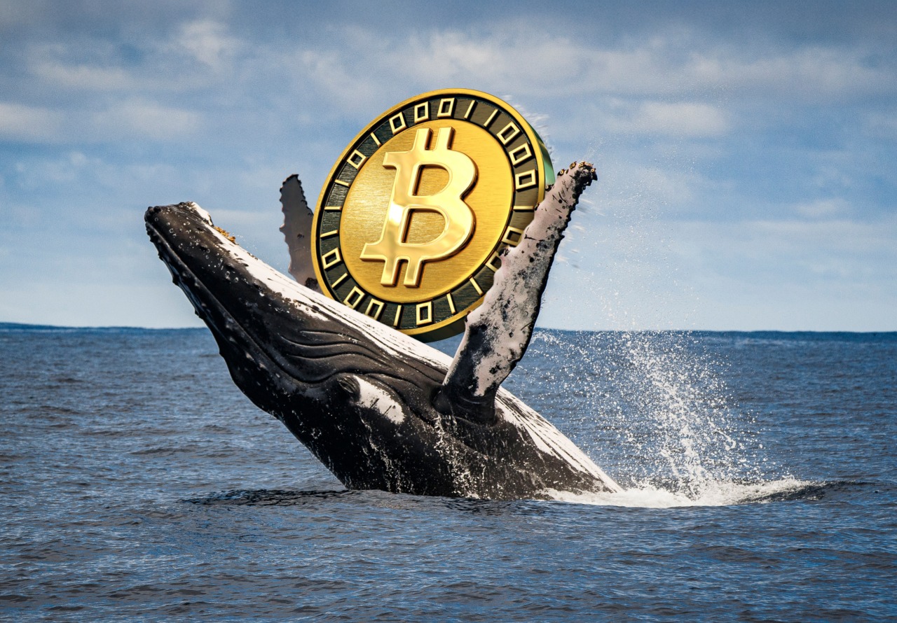 Bitcoin briefly tumbles below $75K, but these investors see a buying opportunity