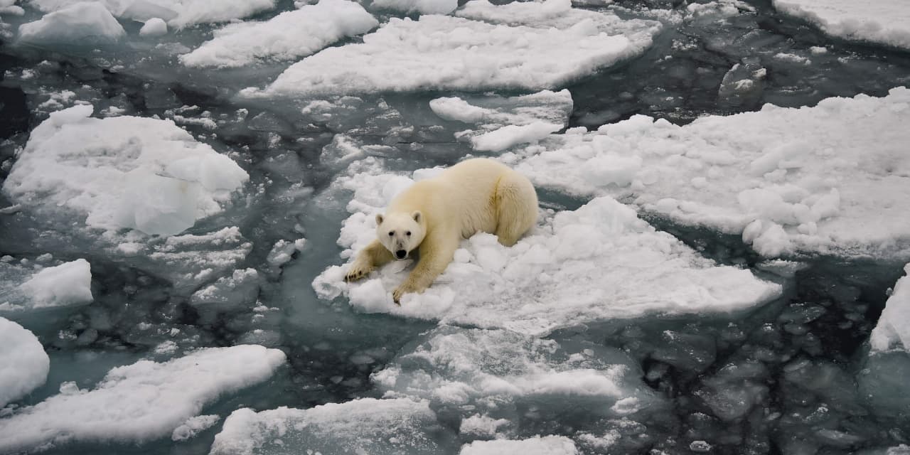 Opinion: Let’s debunk the bears’ top arguments against further stock market gains