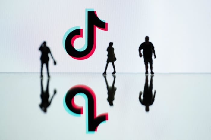 What's Next for TikTok in the U.S.: A Look at the State and