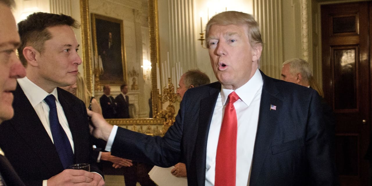 Donald Trump met with Elon Musk seeking campaign donation: reports