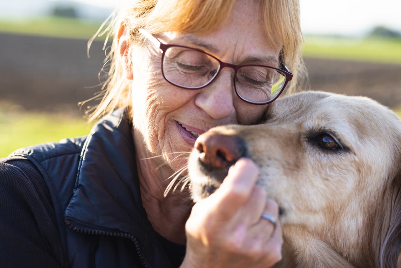 Alzheimer's service store dog for sale