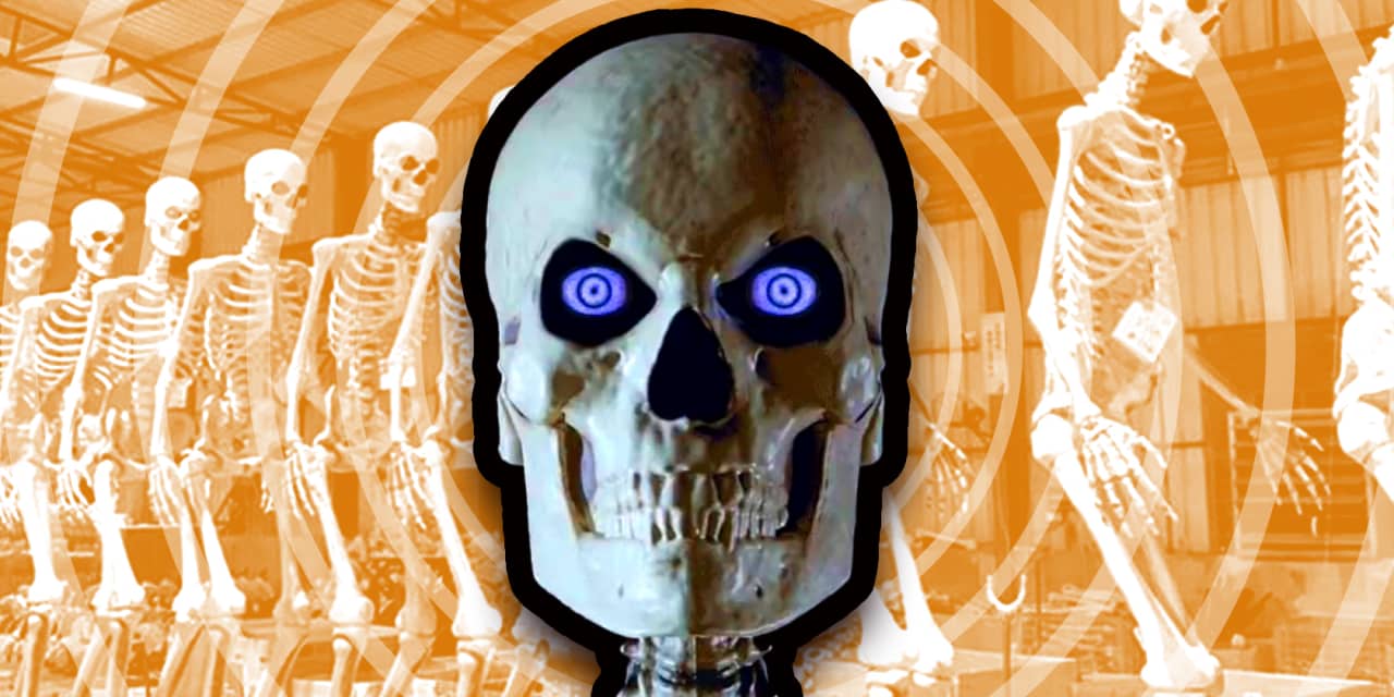 NEW 9" Halloween Electronic Skeleton Talking Head 