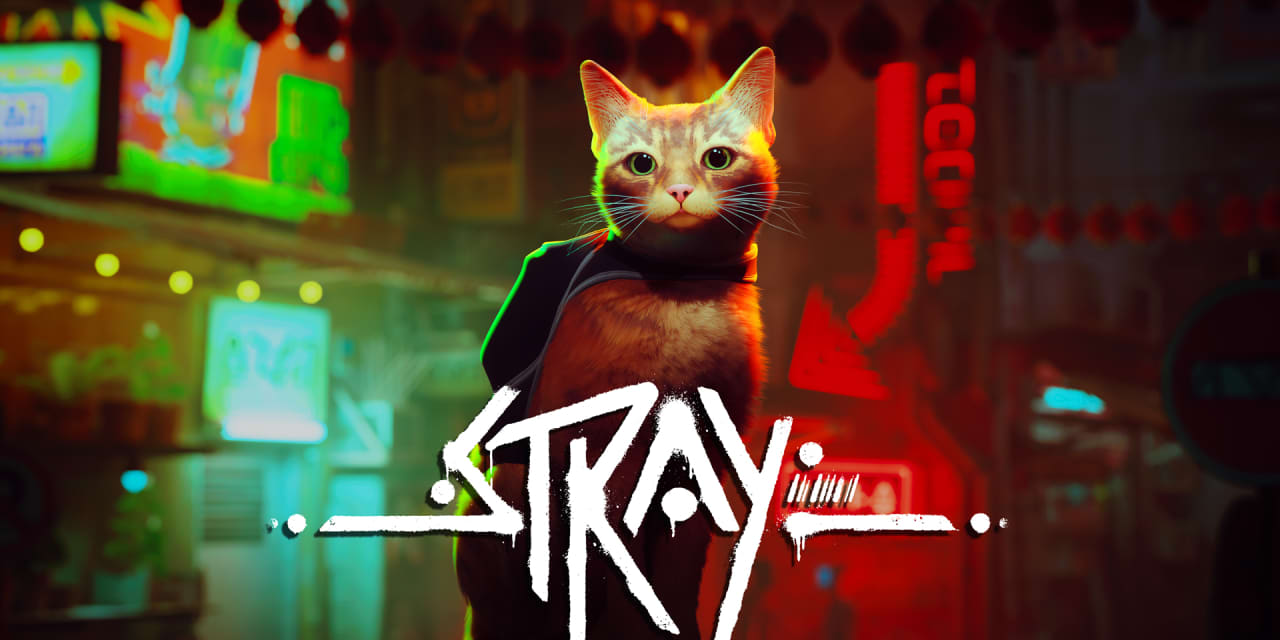 ‘Stray’ — the videogame where you play as a cat — is breaking the internet – MarketWatch