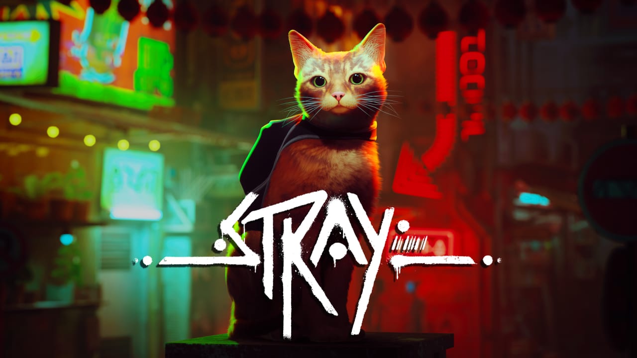  Stray : Video Games