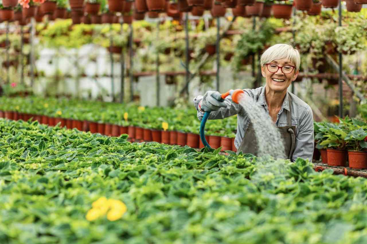 Why a record number of adults over 65 are working — and it’s not just about money