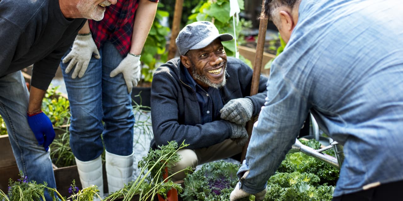 Do something good that’s good for you too: Start volunteering - MarketWatch