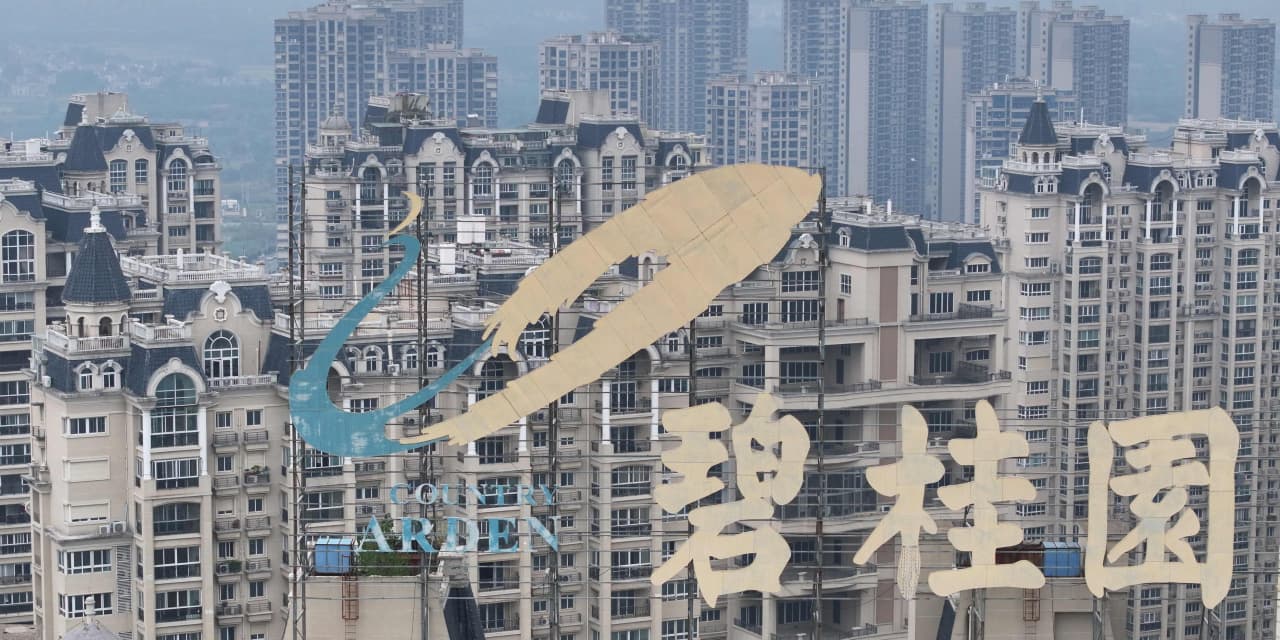 Shares in China's property giants surge on hopes of new government support - Vimarsana News