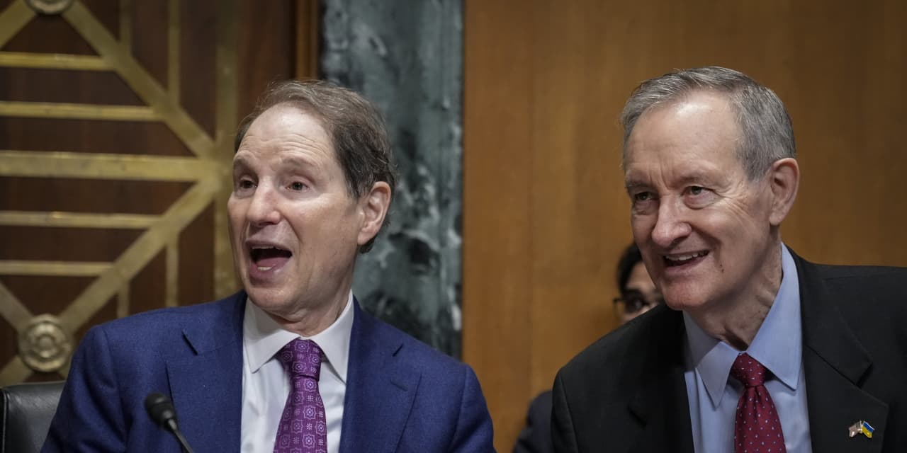 ‘Makes their blood boil’ Democrats criticize billiondollar companies