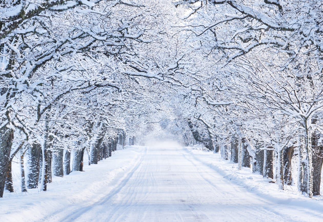 What is crypto winter? Here are the basics on this period of market  cooling. - MarketWatch