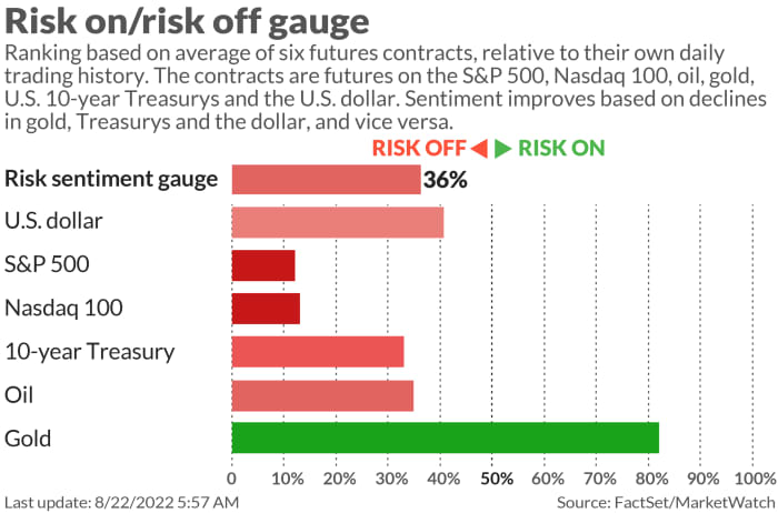 As soon as providing the worst return on Wall Road, money is now wanting like the very best asset to personal, says Morgan Stanley 17