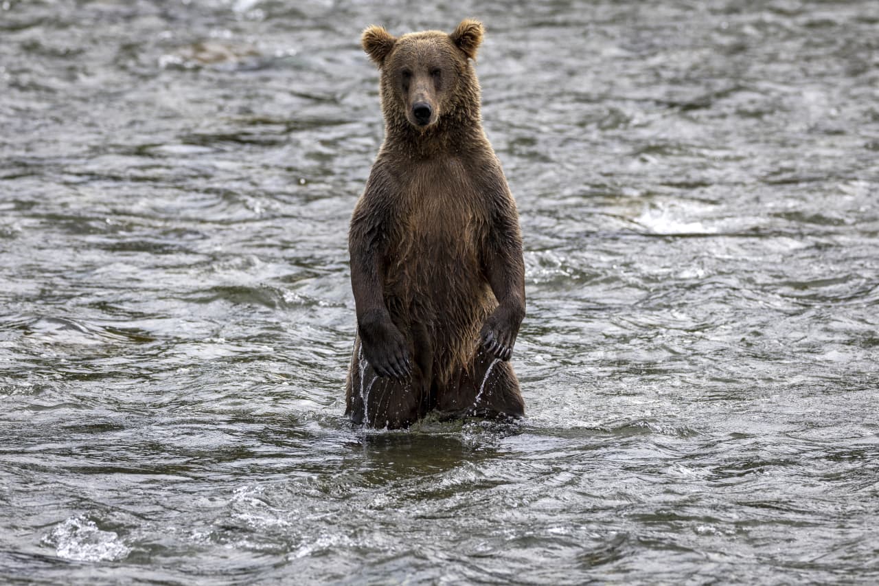 ‘Eerily similar to 2022:’ Why this veteran strategist is ‘max bearish’ on U.S. stocks