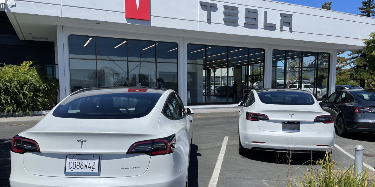 Tesla sues to sell its vehicles directly to consumers in Louisiana