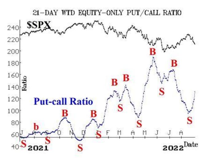 Opinion: The inventory market is unrelentingly bearish however nonetheless nowhere near triggering a 'purchase' sign 8