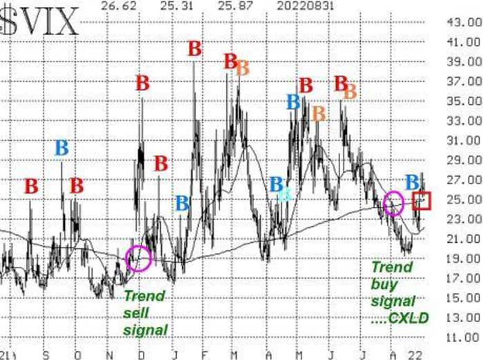 Opinion: The inventory market is unrelentingly bearish however nonetheless nowhere near triggering a 'purchase' sign 11