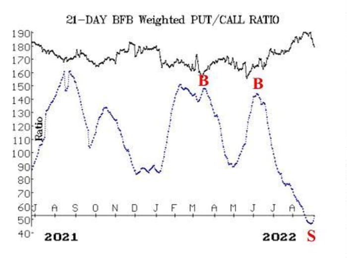 Opinion: The inventory market is unrelentingly bearish however nonetheless nowhere near triggering a 'purchase' sign 10