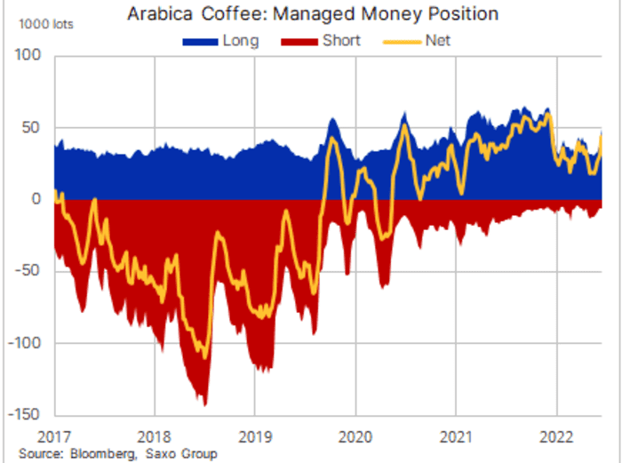 The recent whipsaw for stocks means the bear market is still with us