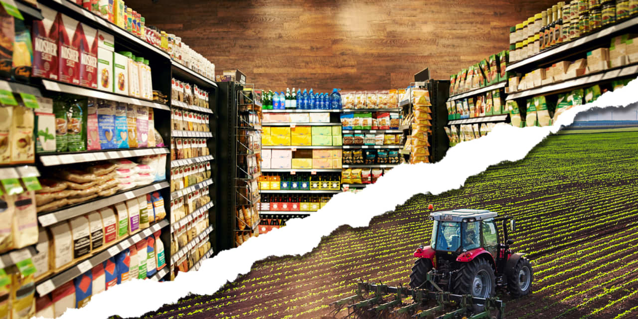 High fuel costs will continue to contribute to the rise in food prices