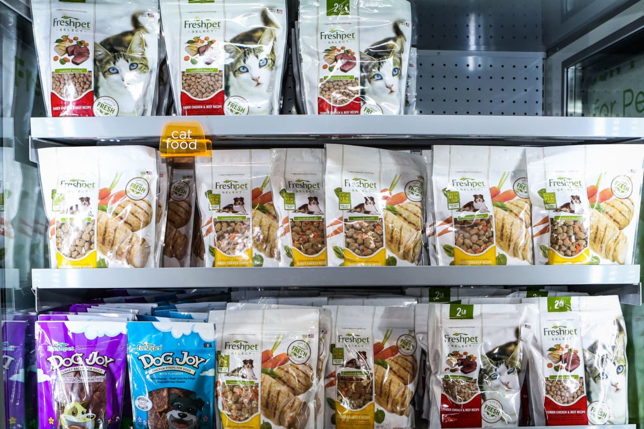 Freshpet’s stock rises 13% as pet-food maker swings to larger-than-expected profit