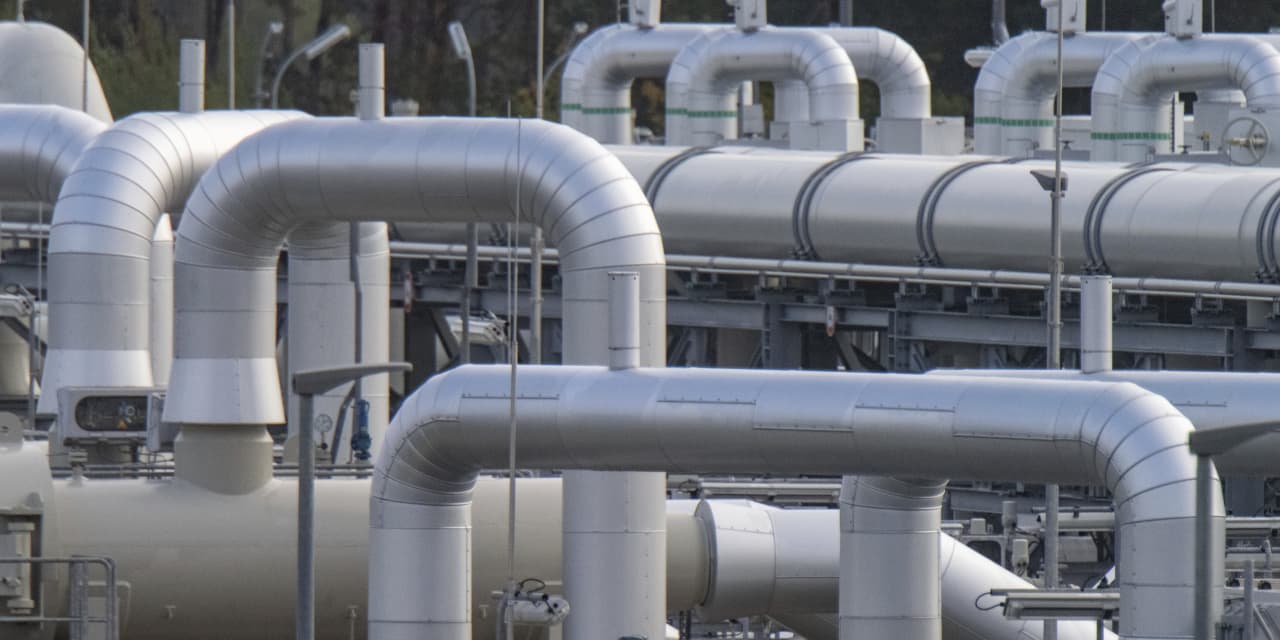 11 high-yield dividend stocks that are Wall Street’s favorites for 2023